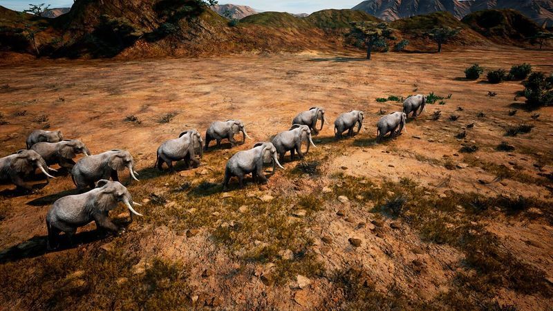Animalia Survival screenshot
