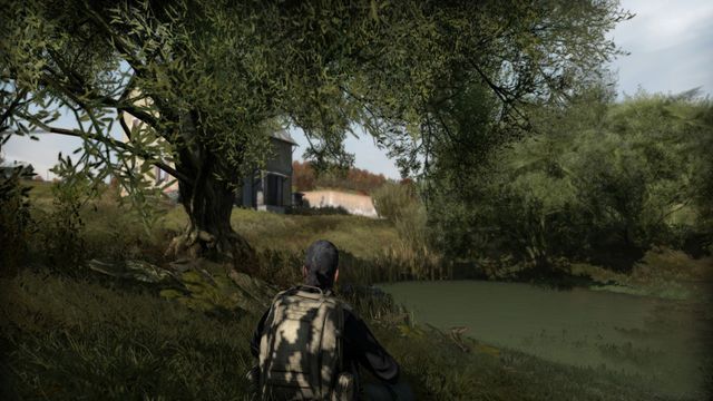 Arma II: DayZ Screenshot