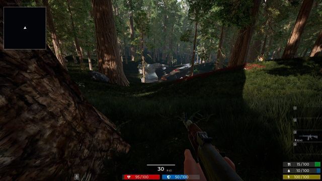 Battle Life Online Screenshot