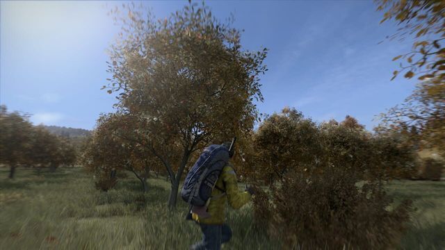 DayZ screenshot