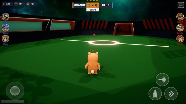 DogeRift Screenshot