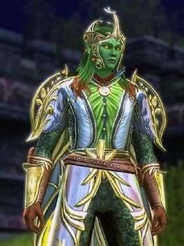 Dungeons & Dragons Online: Premium Archetype - Wild Mage cover