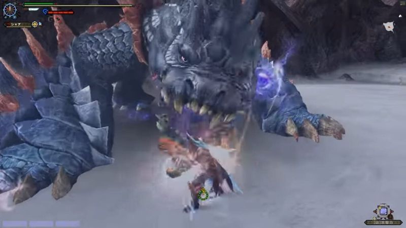 Monster Hunter Frontier ZZenith cover