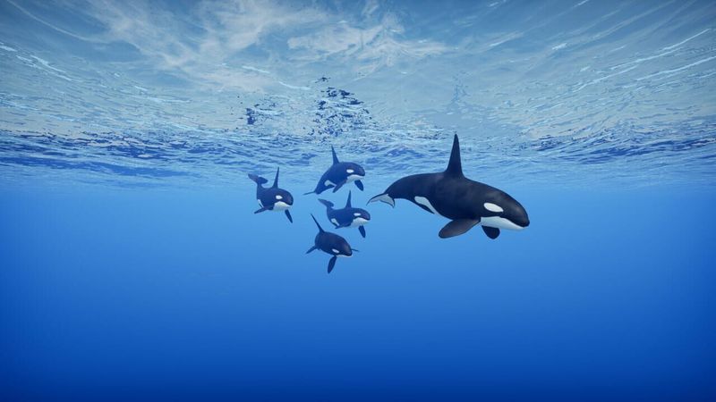 Primal Blue screenshot