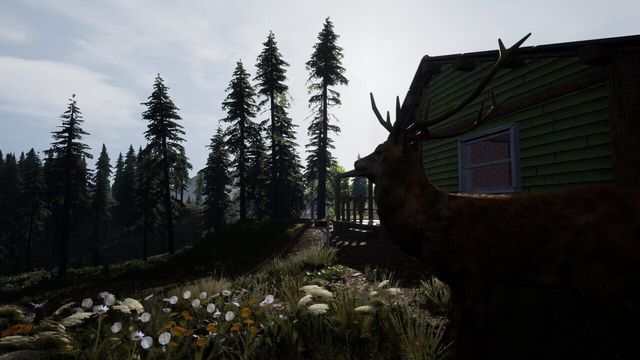 Reborn: Survival Screenshot