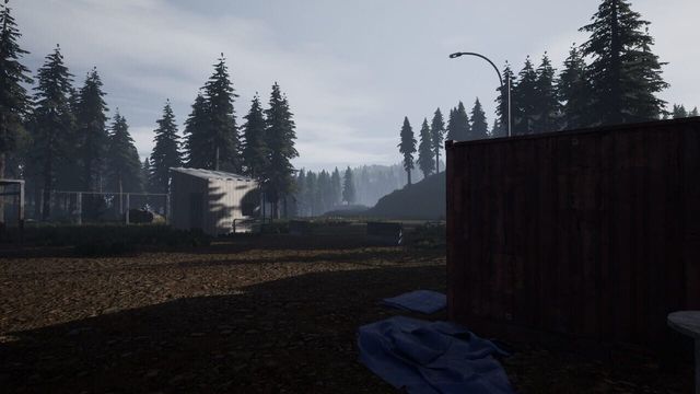 Reborn: Survival Screenshot