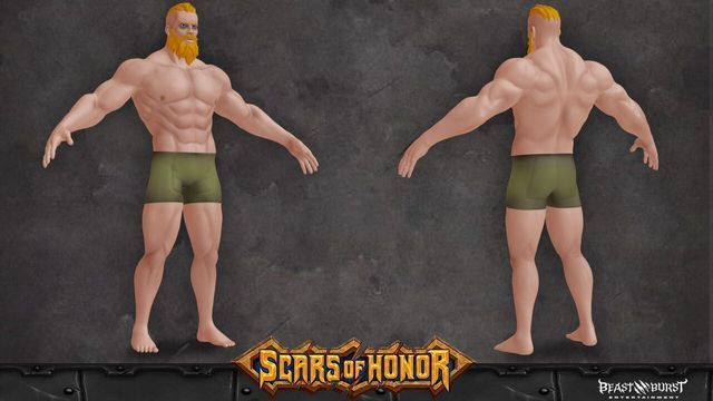 Scars of Honor Screenshot