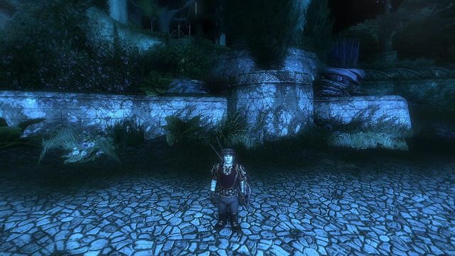The Lord of the Rings Online: Mithril Edition Screenshot
