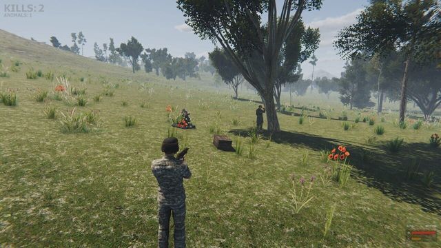Valley of the foxes Screenshot
