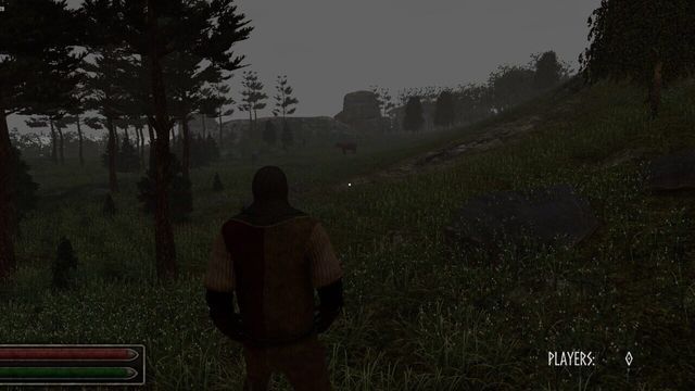 Viking Age: Odin's warrior Screenshot