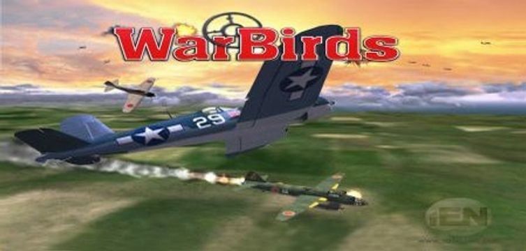 WarBirds: World War II Combat Aviation